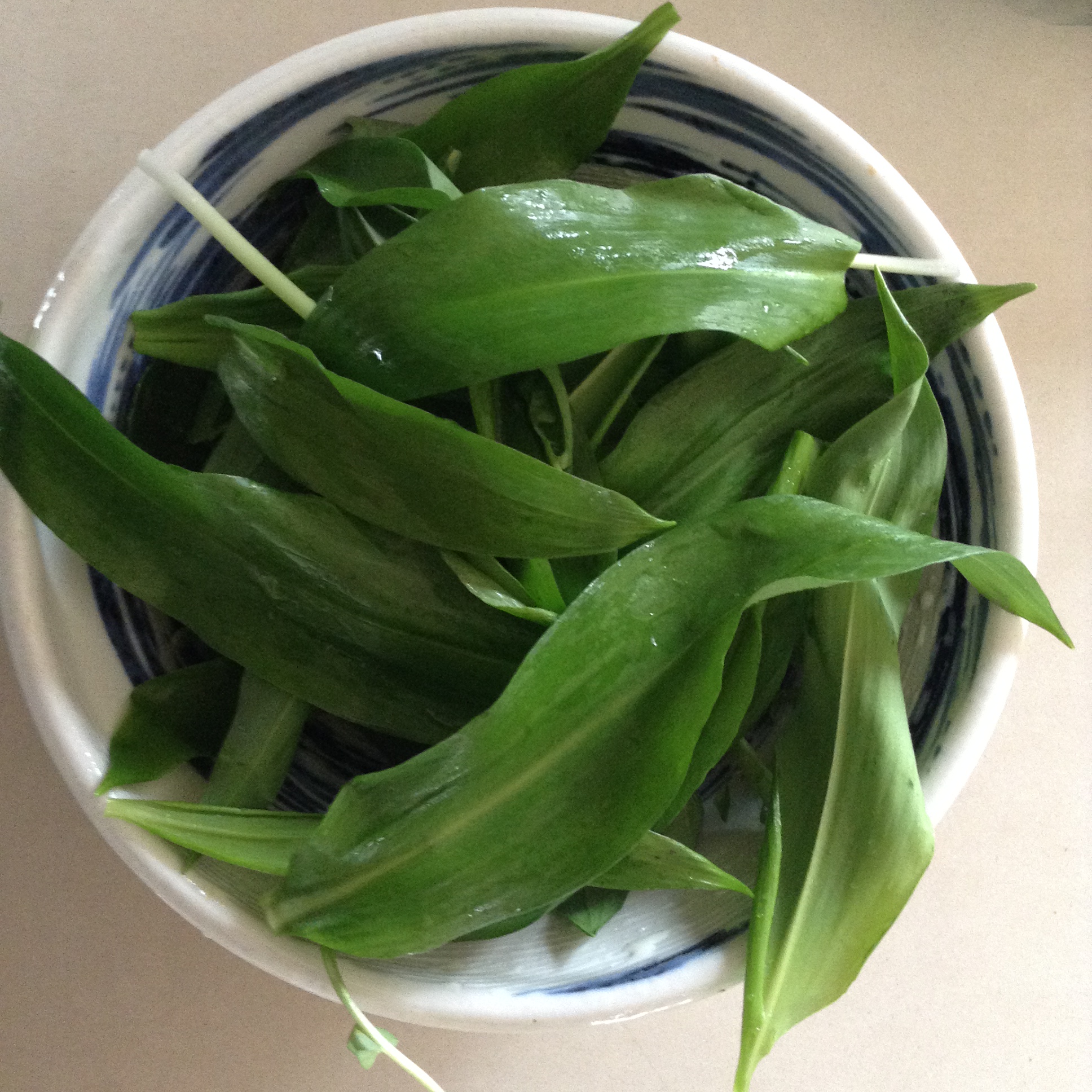 Wild garlic acupuncture totnes